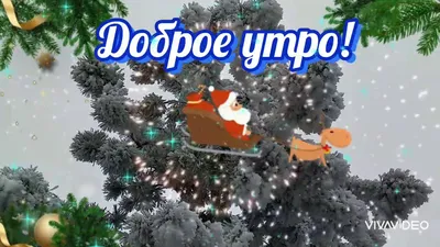 Видеооткрытка Доброе утро! Доброе январское утро! Доброе зимнее утро! картинки