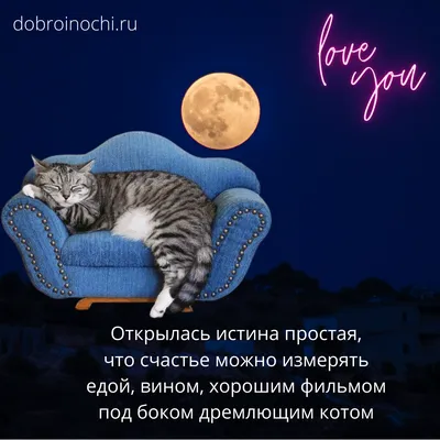 Картинки Прикольные спокойной ночи🌙 скачать бесплатно! картинки