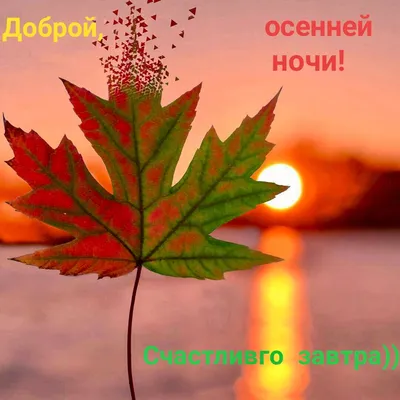 Tweet / Twitter картинки