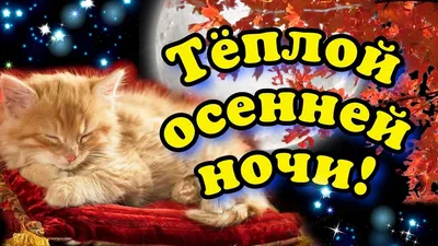 Видеооткрытка Тёплой Осенней Ночи! Заворожительное Пожелания Спокойной  Ночи! Открытка Осенний Доброй Ночи! картинки