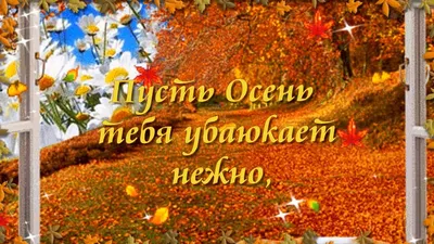 Доброй осенней ночи! Пусть Осень тебя убаюкает нежно! 🍂⭐ 🌙 - YouTube картинки