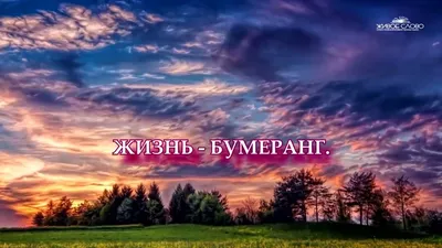 ЖИЗНЬ БУМЕРАНГ.ЧИТАЕТ ЛЕОНИД ЮДИН.ЖИВОЕ СЛОВО - YouTube картинки