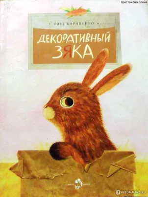 Декоративный Зяка. Олег Корниенко - «Забавному кролику необходимо свежее  сено!» | отзывы картинки