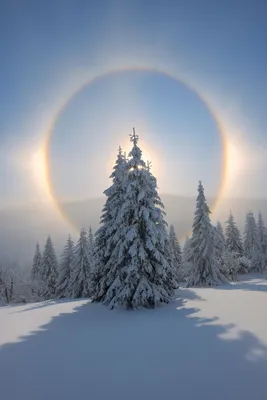 Зимнее солнцестояние картинки - фото и картинки: 70 штук картинки