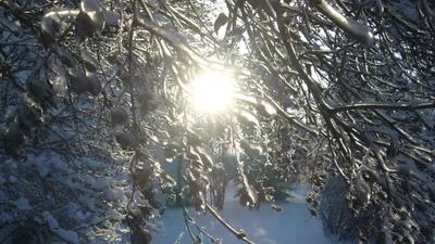 День зимнего солнцестояния - РИА Новости, 21.12.2018 картинки