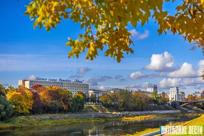 Золотая осень красивые картинки