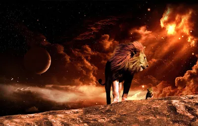 Wallpaper space, fire, Leo, lion images for desktop, section животные -  download картинки