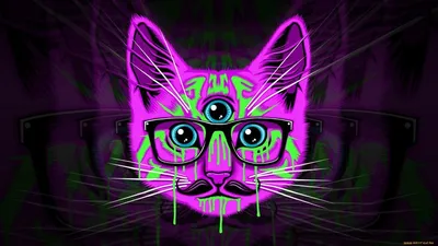 Фоны для аватарок в стим (44 фото) | Hipster wallpaper, Trippy cat, Hipster  cat картинки