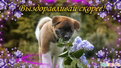 Смешные картинки \ картинки