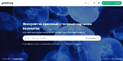 Аналоги Pixabay.com - список похожих сервисов картинки