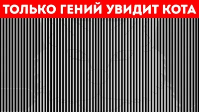 Оптические иллюзии, которые докажут, что порой наши глаза обманывают нас -  YouTube картинки