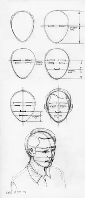 Пропорции в рисунке лица человека. Простая схема для начинающих художников.  | zaholstom.ru | Рисунки лица, Нарисовать лица, Рисунки картинки