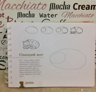 365 дней рисования. Пошаговые техники для начинающих художников. Лиз Эрцог  - «У меня целый год впереди, чтобы научиться рисовать! Отзыв на блокнот Лиз  Эрцог \ картинки
