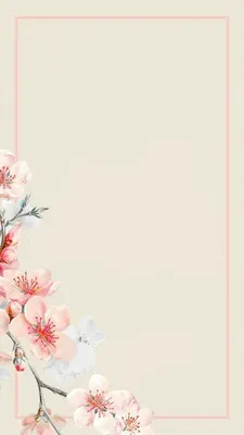 Фон для сториз, фон для постов, нежный фон | Flower background wallpaper,  Flowery wallpaper, Flower phone wallpaper картинки