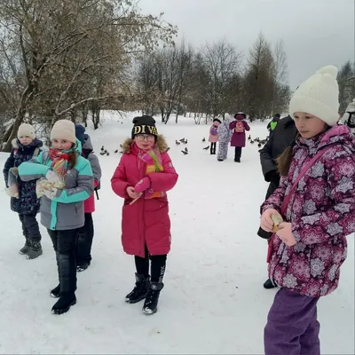 ЛенОбласть | Школьники из Команды 47 накормили в Тихвине зимующих птиц -  БезФормата картинки