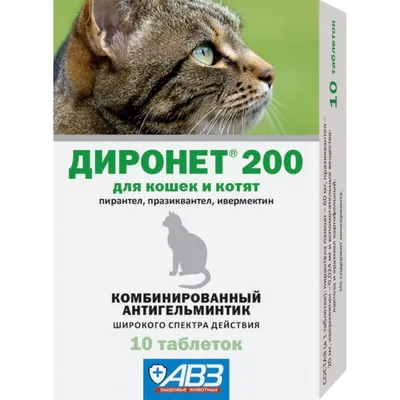 🥇429 р. – АВЗ Диронет 200 антигельминтик для котят и взрослых кошек, 10  таблеток купить в Калининграде с доставкой 🐈 Интернет-зоомагазин «КАТИКО» картинки