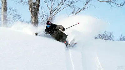 Фото лыжников | Лыжи, Лыжный спорт, Сноуборд картинки