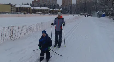 Юные лыжники требуют вернуть кота на лыжеролерную трассу картинки