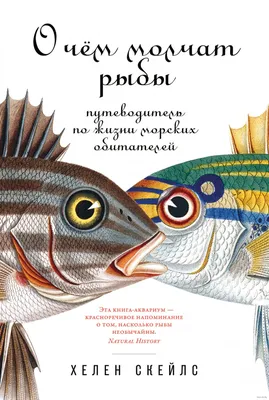 О чем молчат рыбы. Путеводитель по жизни морских обитателей» Хелен Скейлз -  купить книгу «О чем молчат рыбы. Путеводитель по жизни морских обитателей»  в Минске — Издательство Альпина Нон-фикшн на OZ.by картинки