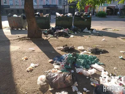 В центре Николаева возле детского садика образовалась свалка бытового мусора  | НикВести — Новости Николаева картинки