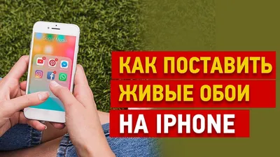 Как поставить видео на обои айфона - YouTube картинки