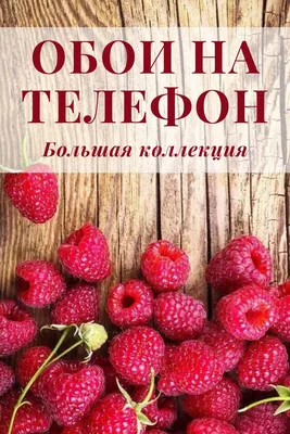 Скачать обои на телефон бесплатно. Моя большая коллекция. | Обои, Телефон,  Заставка картинки