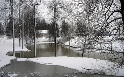 Подборка фотографий на тему \ картинки