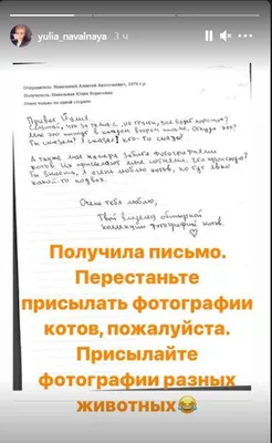 Что происходит?»: Навальный ищет подвох в фотографиях котов картинки