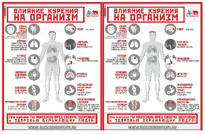 Информация о вреде курения картинки