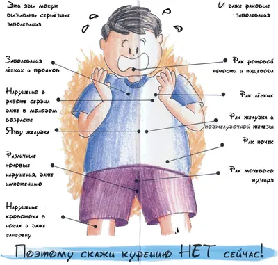 О вреде курения | ОГБУЗ ОБ№2 картинки