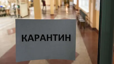 Уже 6 школ под Бишкеком закрыли на карантин - 13.12.2022, Sputnik Кыргызстан картинки