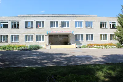 О школе картинки