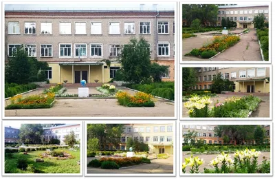 О школе картинки