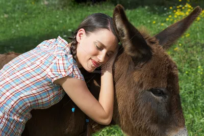 Девочка держит осла изображение_Фото номер 501445969_JPG Формат  изображения_ru.lovepik.com картинки