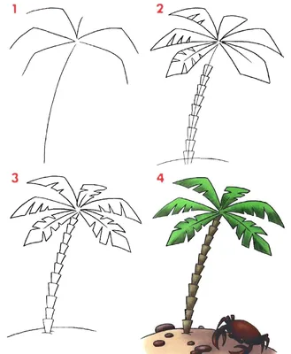 Как нарисовать пальму поэтапно карандашом картинки