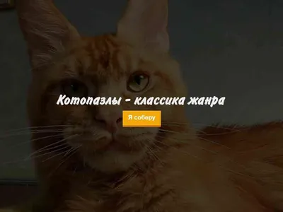 Игры про кошек - Кототема | МУРЧИМ.РФ картинки