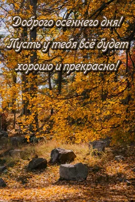 Картинка: Доброго осеннего дня! Пусть у тебя всё будет хорошо и прекрасно! картинки