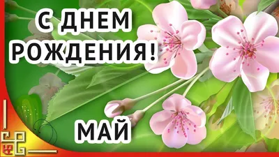 День рождения в МАЕ. Поздравление с днём рождения в мае. Открытка с днём  рождения в мае - YouTube картинки