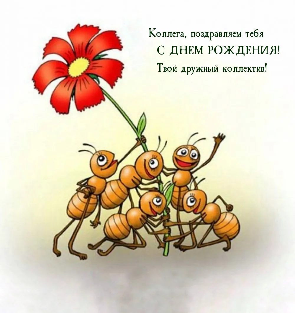 Открытка с днем рождения коллеге прикольная