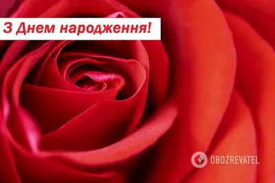 С днем рождения: поздравления, стихи, проза, смс, картинки и видео картинки