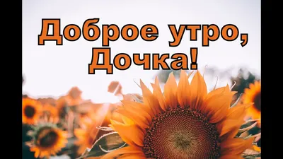 Доброе утро, ДОЧКА! - YouTube картинки