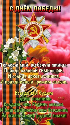 Идеи на тему «Привествие» (37) | открытки, благодарственные открытки,  оранжевые розы картинки