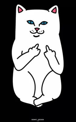 Ripndip Cat | Iphone wallpaper cat, Ripndip wallpaper, Cat wallpaper картинки