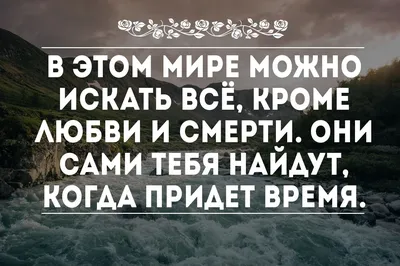 Картинки афоризмы про любовь (100 фото) • Прикольные картинки и позитив картинки