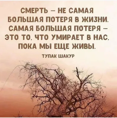 Ислам и семья on Twitter: \ картинки