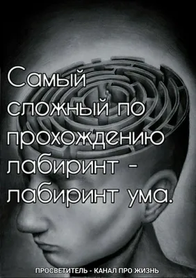 Идеи на тему «Психологические картинки со смыслом» (100) | мысли, мудрость,  цитаты со смыслом картинки