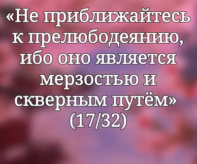 Мусульманские (исламские) картинки со смыслом о жизни: скачать с надписями картинки