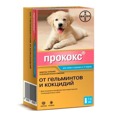 🥇710 р. – Bayer Прококс суспензия антигельминтик для собак и щенков 7,5 мл  купить в Калининграде с доставкой 🐈 Интернет-зоомагазин «КАТИКО» картинки