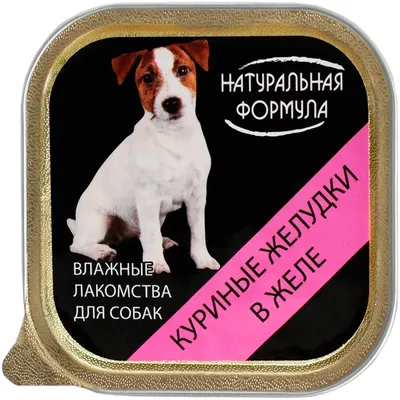 Купить консервы для собак и щенков Натуральная формула куриные желудки в  желе, 300г, цены в Москве на СберМегаМаркет | Артикул: 100036072180 картинки