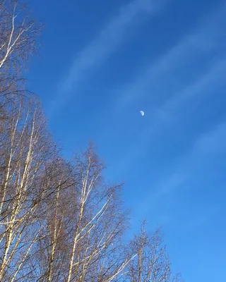 Сыктывкар | Фото дня: луна и солнце на чистом весеннем небе Сыктывкара -  БезФормата картинки